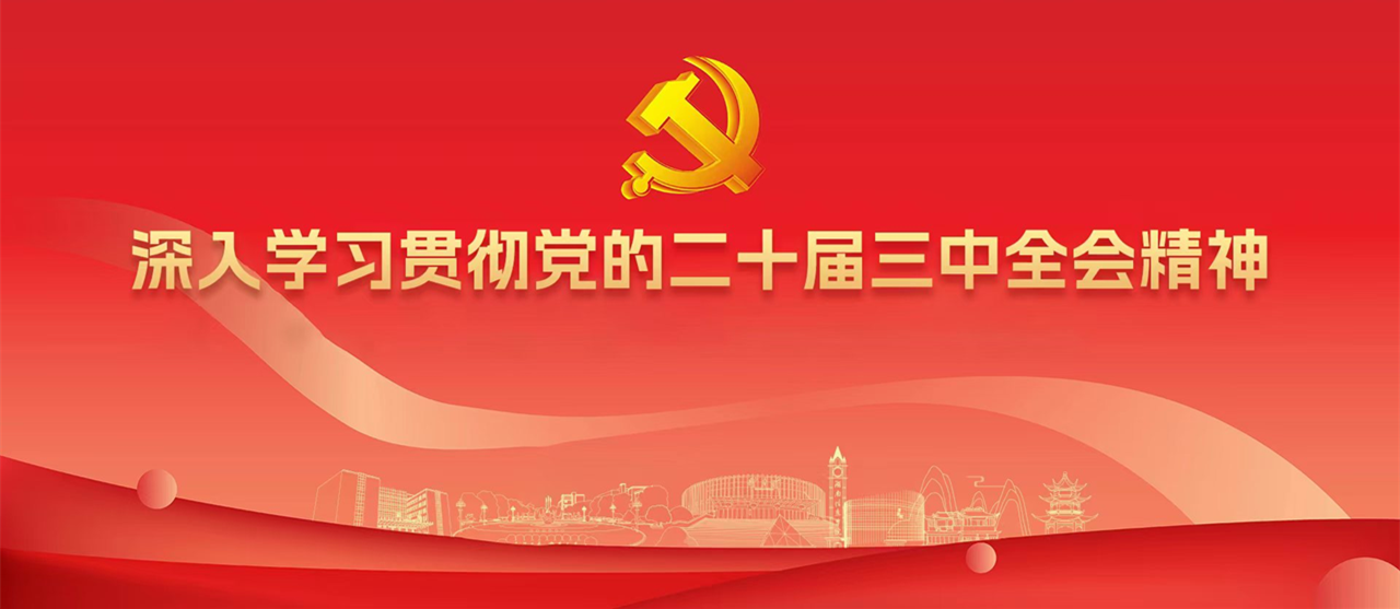 深入学习贯彻党的二十届三中全会精神