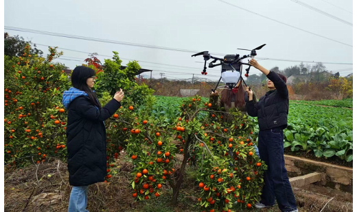 【湖南教育发布】湖南交通工程学院“地空协同喷洒”系统：AI无人机+机器人破解山地果园植保壁垒